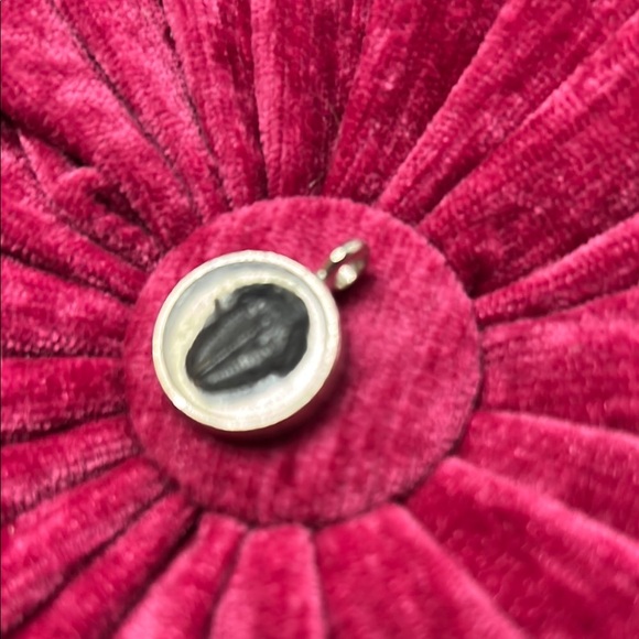 Silver Fossil Trilobite Pendant - Picture 2 of 2